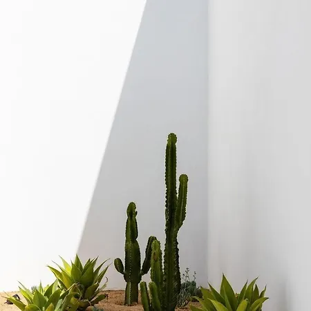 בית נופש Luxury Mikonos