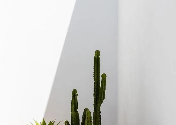 度假居 Luxury Mikonos